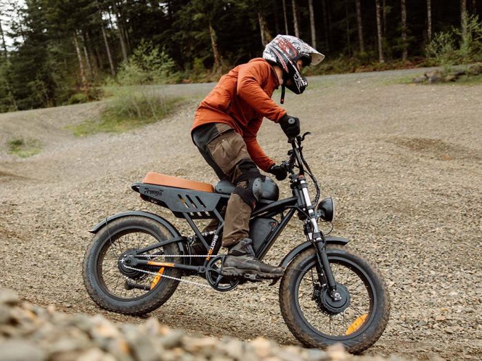 Freego Shotgun Flash F3 Pro  Electric Bike Dual Battery and Dual Motor - Image 2