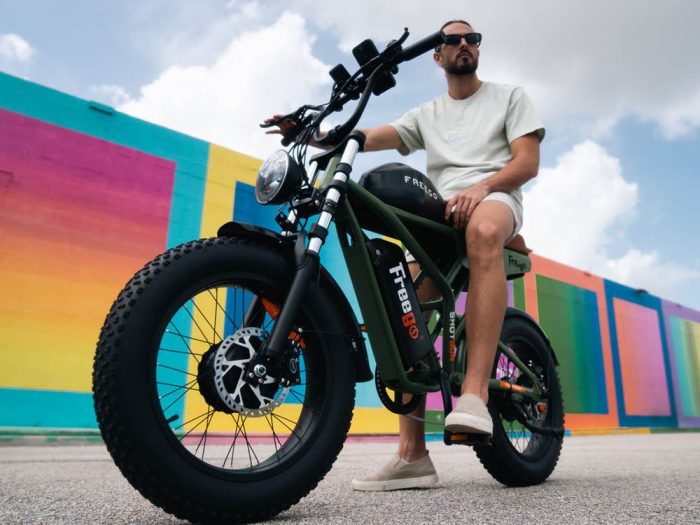 Freego Shotgun Flash F3 Pro  Electric Bike Dual Battery and Dual Motor - Image 8