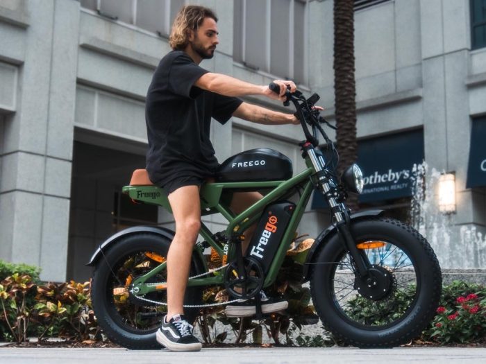 Freego Shotgun Flash F3 Pro  Electric Bike Dual Battery and Dual Motor - Image 9